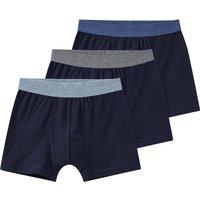 3 Jungen Boxer in Unifarben